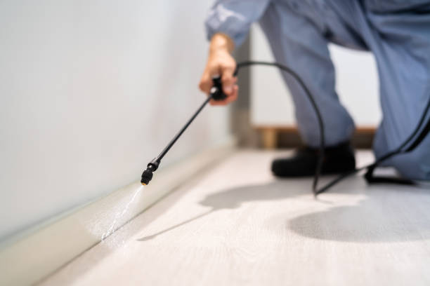 Licensed Pest Control service in Klamath County County, OR - Nex Pest Control