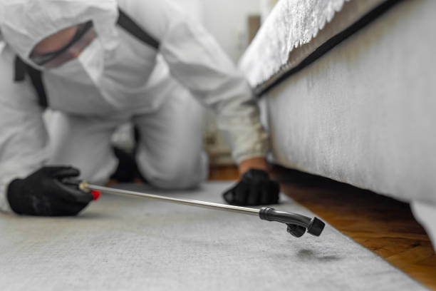 Professional Pest Control technician working in Klamath County County, OR